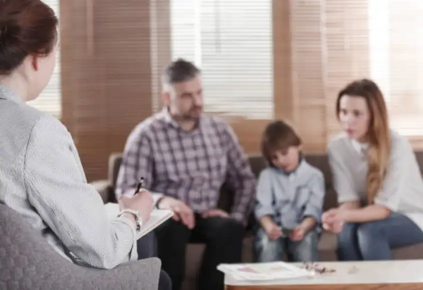 Child Custody and Relocation in International Family Disputes Ludlow